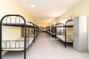 bunk bed