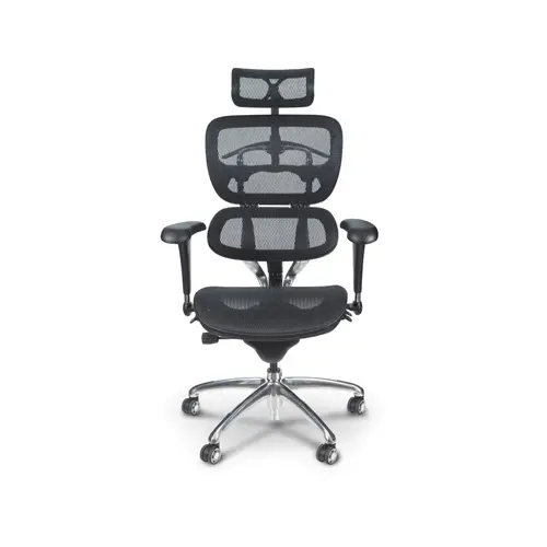 Office Ergonomic Chair