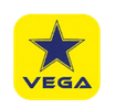 Vega Turnkey Projects LLC