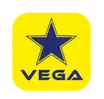 Vega Turnkey Projects LLC