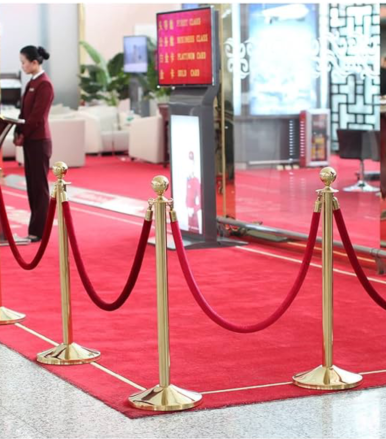 Why Choose Vega UAE Queue Barrier and Stanchion Supplier